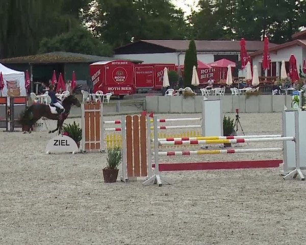 Reitturnier Grafenrheinfeld 2019