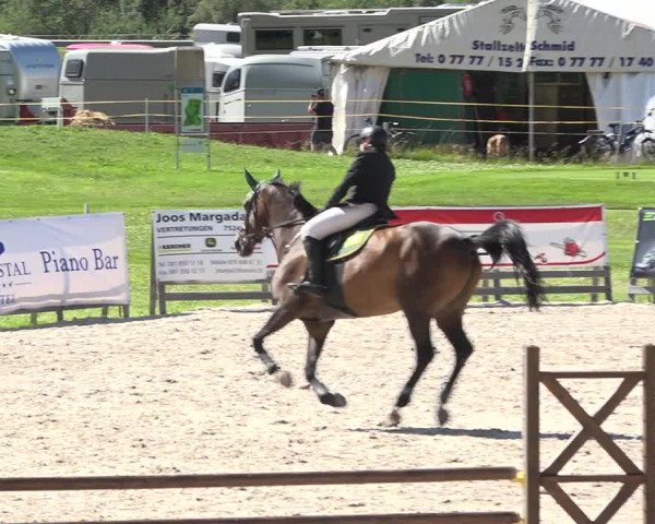 Reitturnier Zuoz 2019