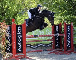 jumper Cess Girl (Oldenburg show jumper, 2006, from Conceicao)