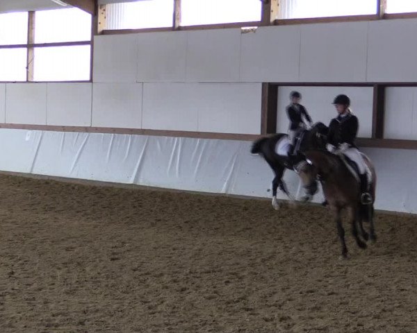 Reitturnier Waltrop 2019