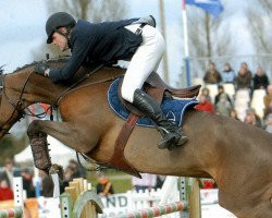 broodmare Kachemire d'Elle (Selle Français, 1998, from Allegreto)