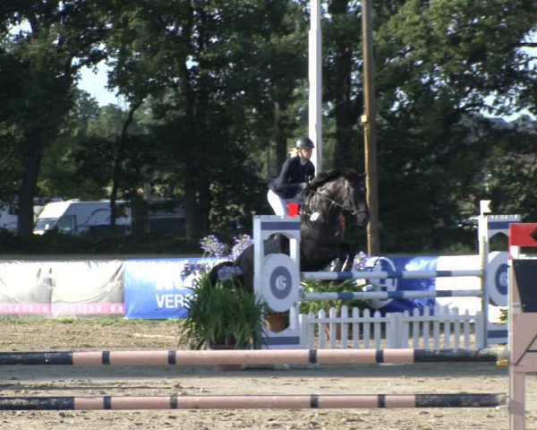 Reitturnier Waltrop 2019