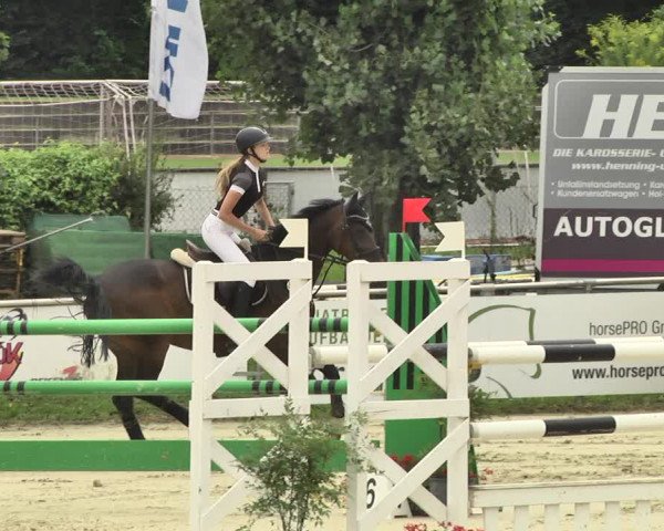 Reitturnier Oberderdingen 2019