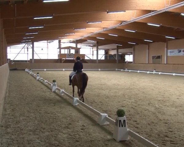 Reitturnier Grafenrheinfeld 2019