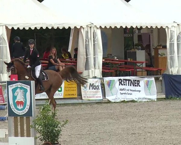 Reitturnier Grafenrheinfeld 2019