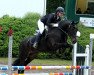 dressage horse Vayu Blue Bandit (Welsh-Cob (Sek. C), 2002, from Bonheddwr)