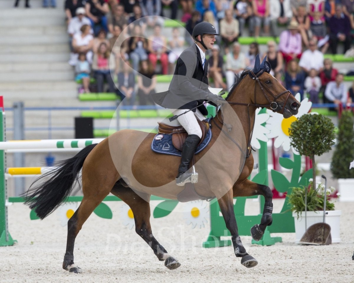 broodmare Souris D'Elle (Selle Français, 2006, from Kannan)