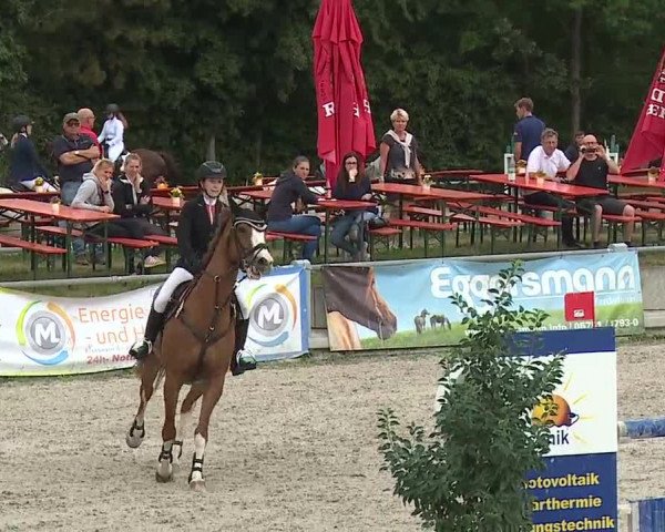 Reitturnier Grafenrheinfeld 2019