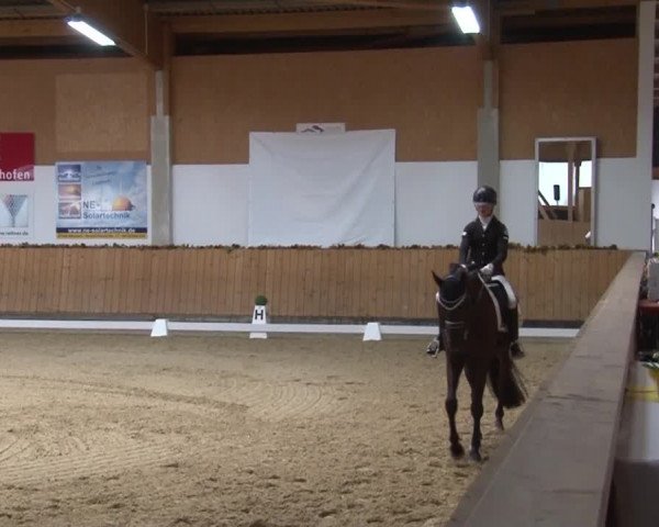 Reitturnier Grafenrheinfeld 2019