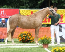 Zuchtstute Deliah (Deutsches Reitpony, 2009, von Dornik's Donovan)