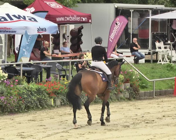 Reitturnier Oberderdingen 2019