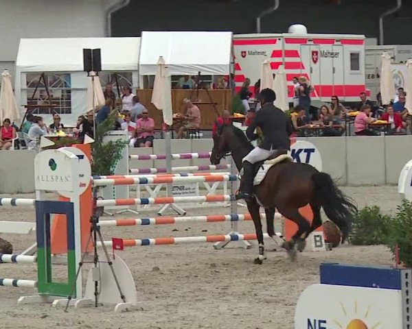 Reitturnier Grafenrheinfeld 2019