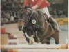 stallion Grandeur (Danish Warmblood, 1983, from Grandis)