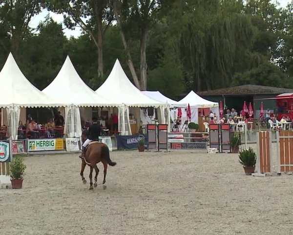 Reitturnier Grafenrheinfeld 2019