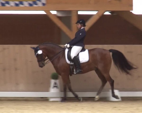 Reitturnier Grafenrheinfeld 2019
