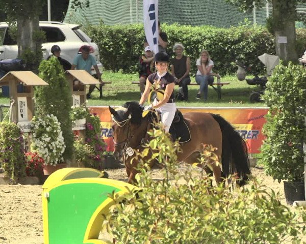 Reitturnier Oberderdingen 2019