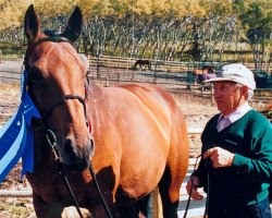 broodmare Davos (Holsteiner, 1989, from Schampus xx)