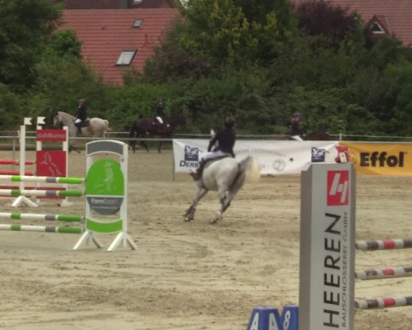 Reitturnier Ascheberg 2021