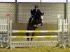 jumper Gloria 560 (KWPN (Royal Dutch Sporthorse), 2011, from For Money Z)