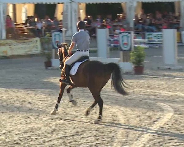 Reitturnier Grafenrheinfeld 2019