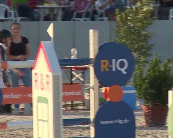 Reitturnier Grafenrheinfeld 2019