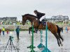 jumper Calinka's Chelsea (German Warmblood, 2008, from Corde Lamour)