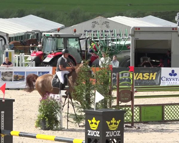 Reitturnier Zuoz 2019