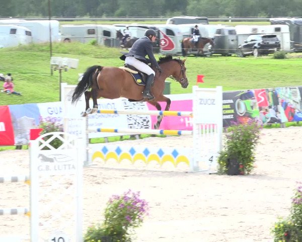 Reitturnier Zuoz 2019