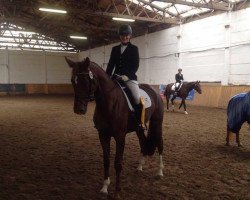 dressage horse Fräulein Smilla 34 (Hanoverian, 2011, from Fuechtels Floriscount OLD)