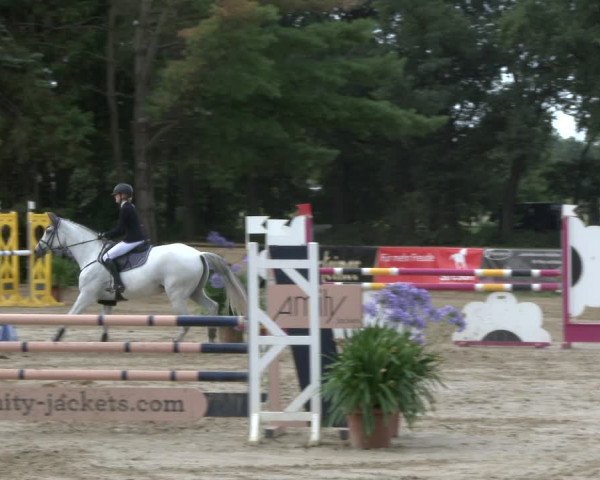 Reitturnier Waltrop 2019