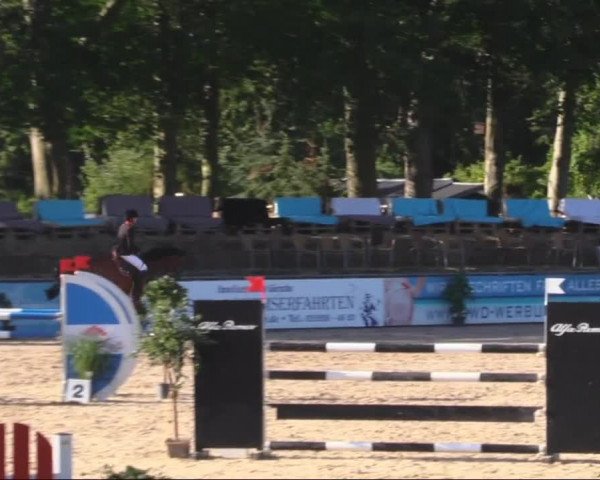 Reitturnier Görlitz 2019
