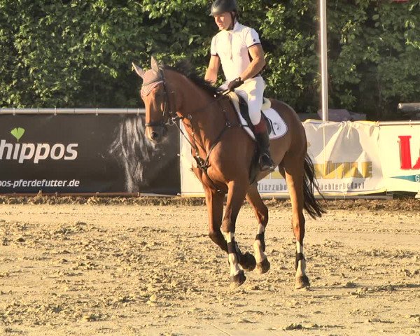 Reitturnier Oberderdingen 2019