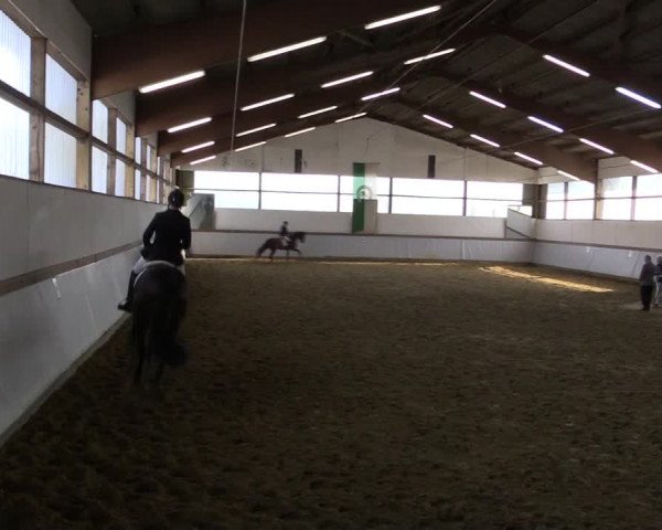 Reitturnier Waltrop 2019