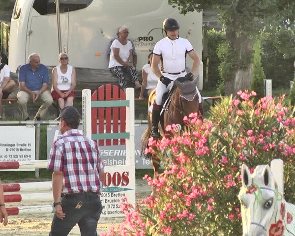 Reitturnier Oberderdingen 2019