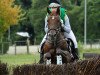 broodmare Hennes Renchen (German Riding Pony, 2009, from Oosteinds Ricky)