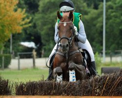 broodmare Hennes Renchen (German Riding Pony, 2009, from Oosteinds Ricky)