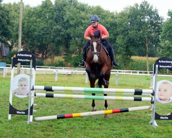 Springpferd Cartouche L'Espoir (Holsteiner, 2011, von Cardino)