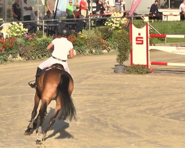 Reitturnier Oberderdingen 2019