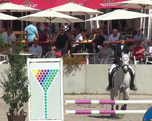 Reitturnier Grafenrheinfeld 2019