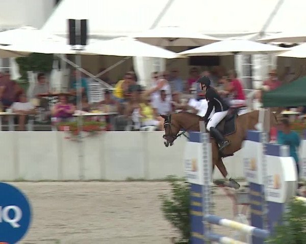 Reitturnier Grafenrheinfeld 2019