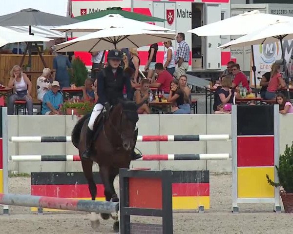 Reitturnier Grafenrheinfeld 2019