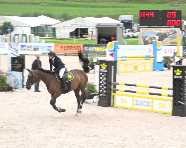 Reitturnier Zuoz 2019