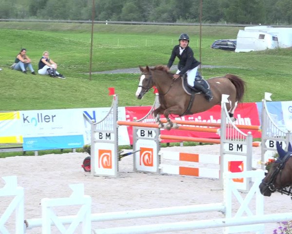 Reitturnier Zuoz 2019