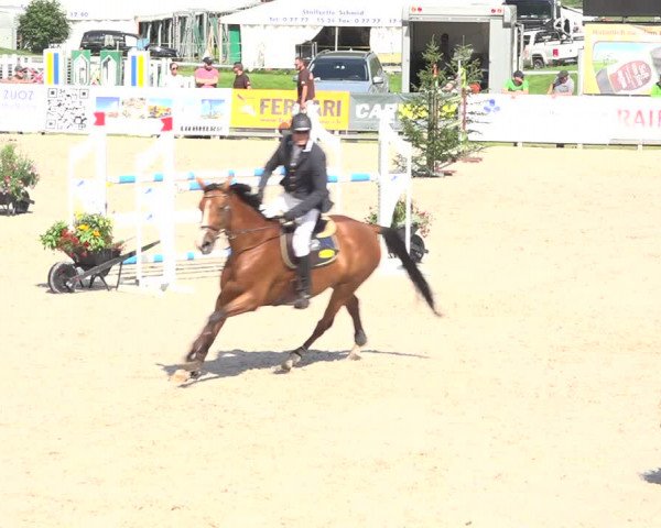 Reitturnier Zuoz 2019