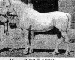 stallion Klad 4856 (Orlov Trotter, 1944, from Gorizont)