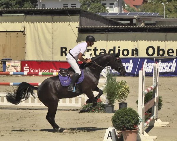 Reitturnier Oberderdingen 2019