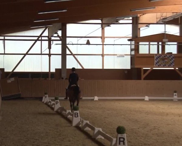 Reitturnier Grafenrheinfeld 2019