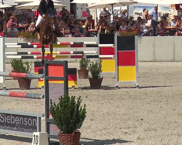 Reitturnier Grafenrheinfeld 2019