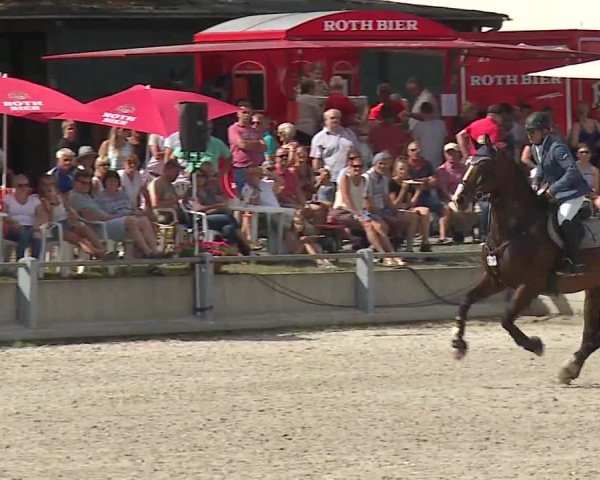 Reitturnier Grafenrheinfeld 2019