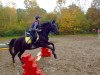 dressage horse Schoensgreen Black Marlo (German Riding Pony, 2007, from Black Horse 2)